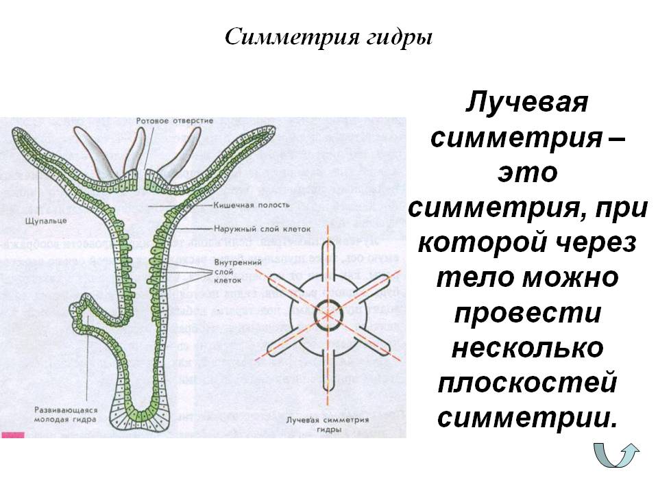 Кракен нарко
